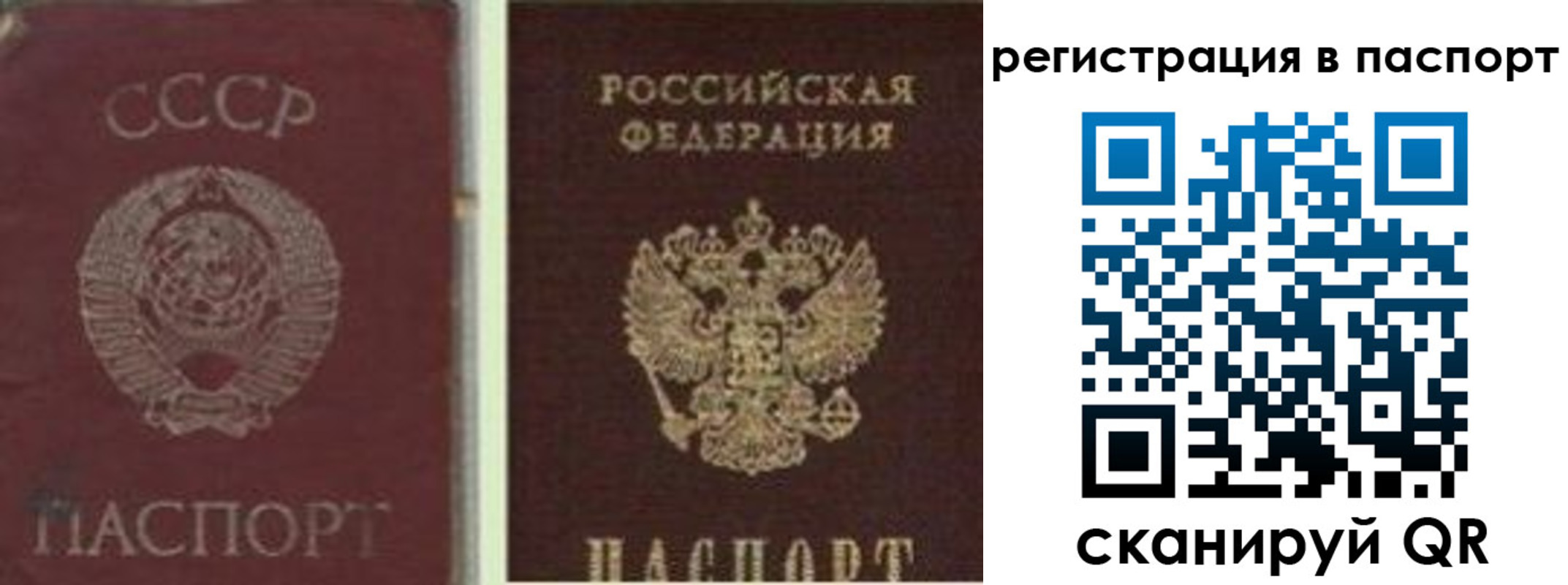 прописка для работы в Бородино